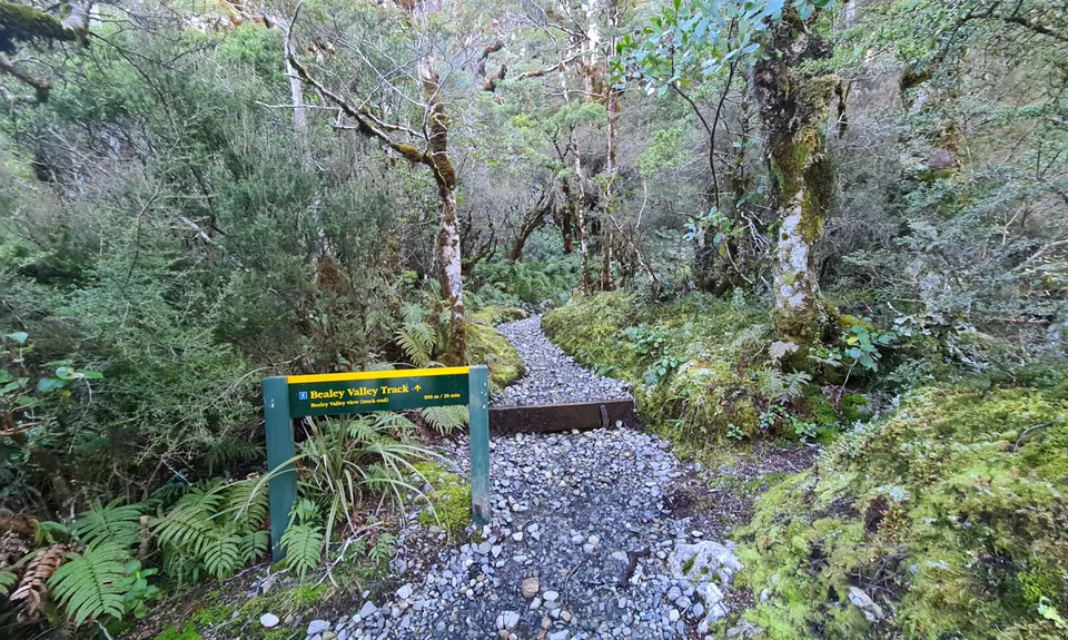 Arthur's Pass Taster, Canterbury