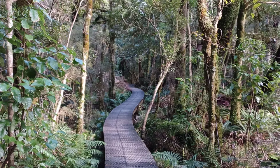 Atiwhakatu Hut, Wellington