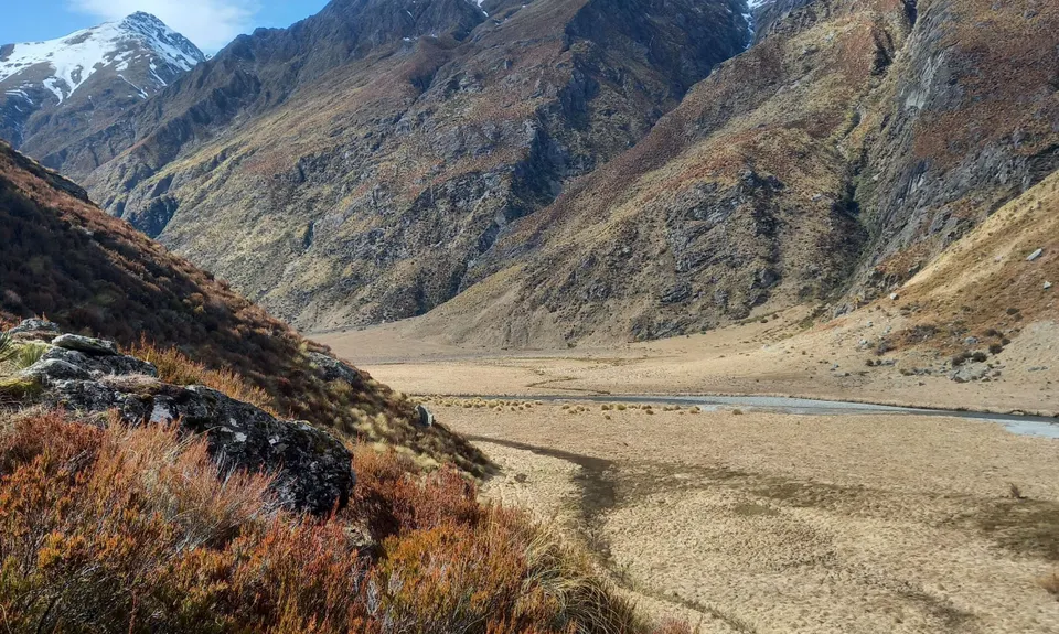 Boundary Creek Track, Otago