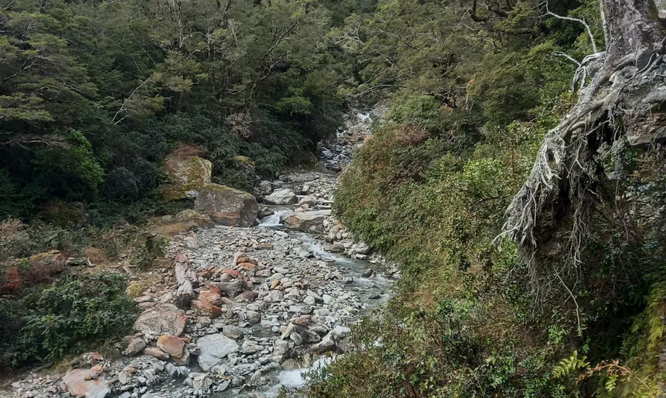 Mt Shrimpton Track, Otago