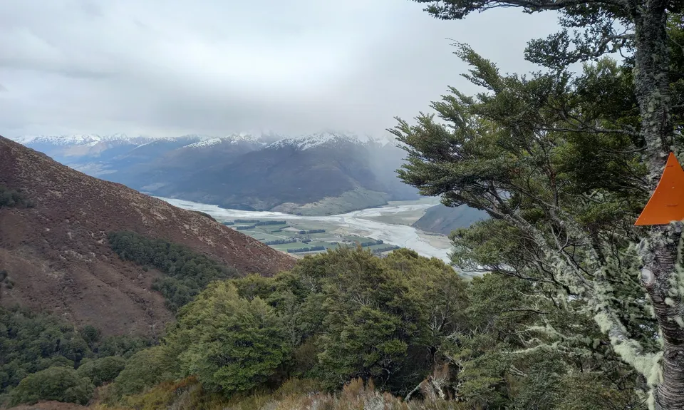Mt Shrimpton Track, Otago