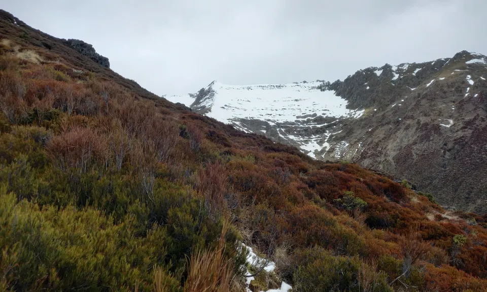 Mt Shrimpton Track, Otago