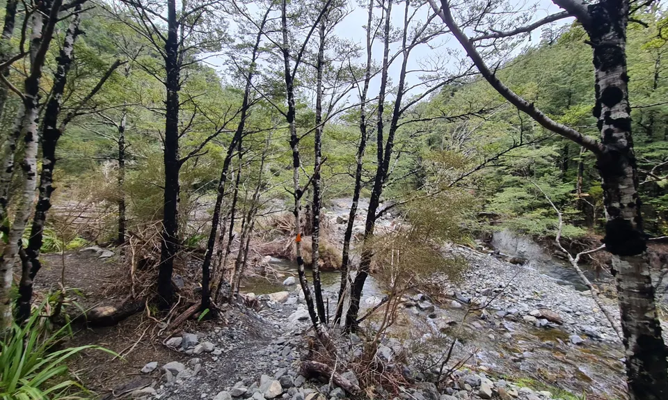 Coopers Creek - Ryde Falls loop, Canterbury
