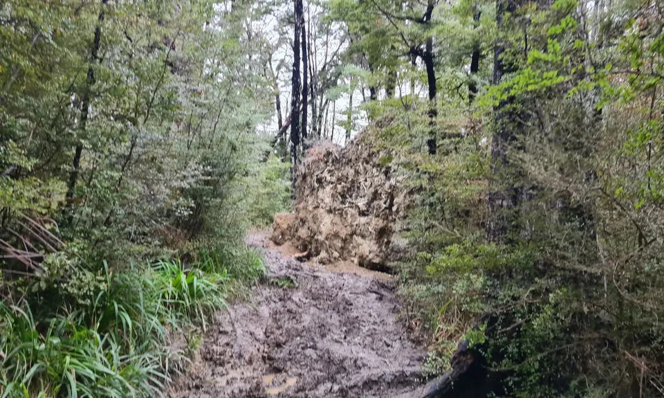 Coopers Creek - Ryde Falls loop, Canterbury