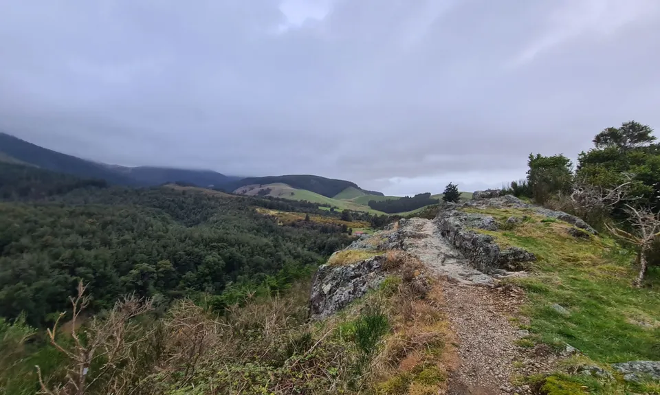 Coopers Creek - Ryde Falls loop, Canterbury