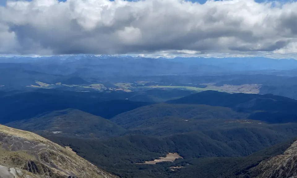 Speargrass - Robert Ridge, Tasman