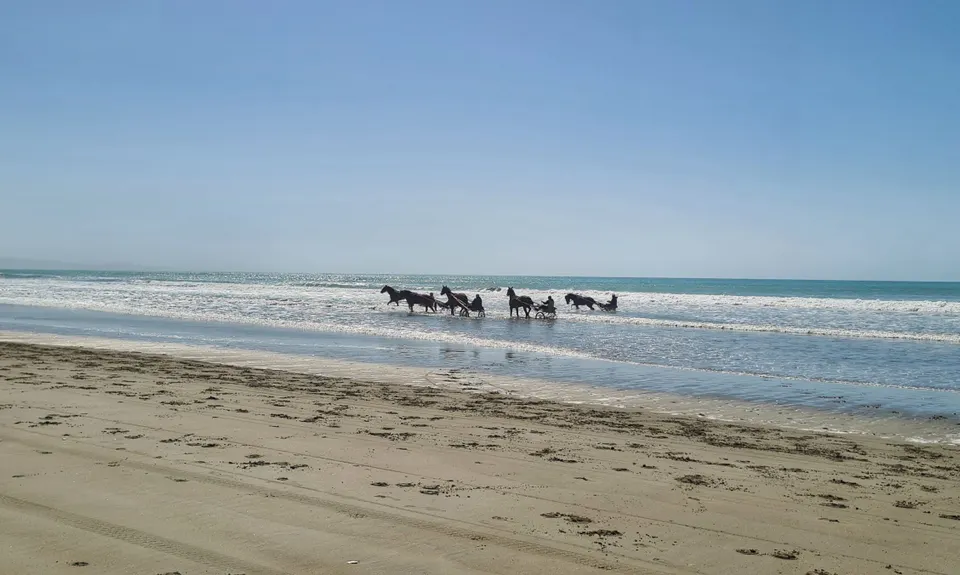 Tutaepatu Woodend Beach Circuit, Canterbury