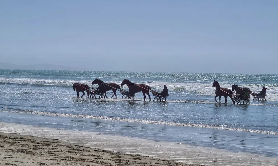 Tutaepatu Woodend Beach Circuit, Canterbury