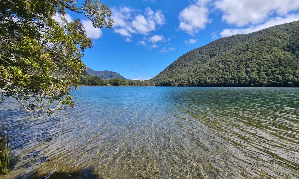 Daniells Dash, West Coast