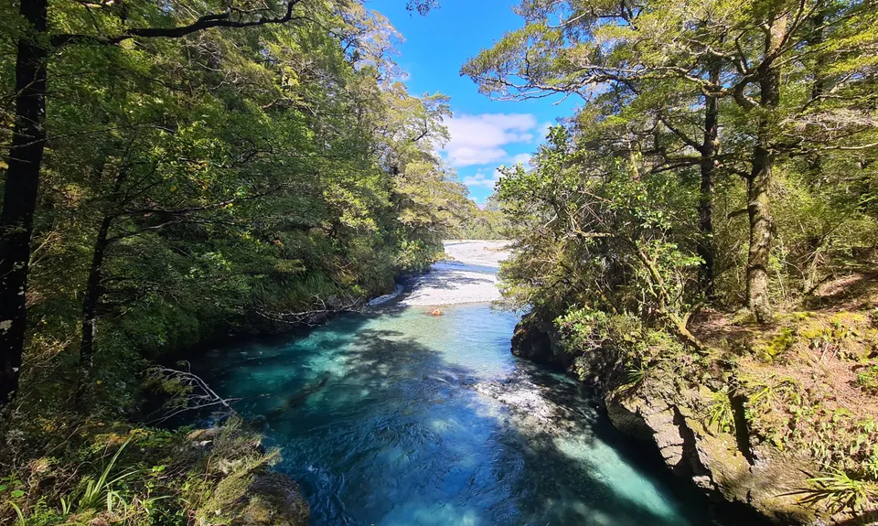 Daniells Dash, West Coast