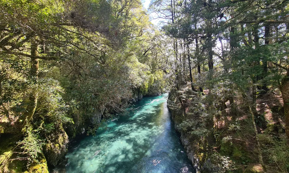 Daniells Dash, West Coast