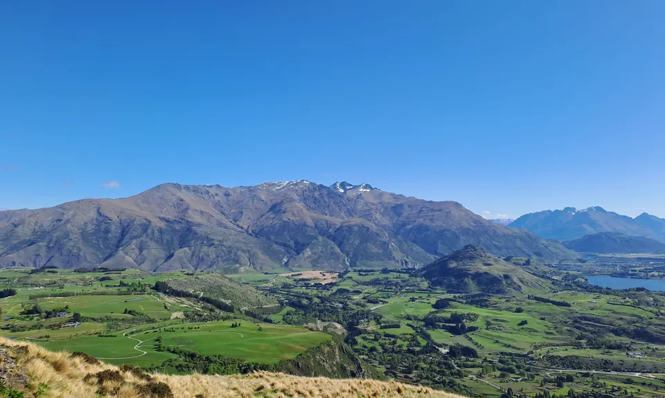 Beat Beetham , Otago