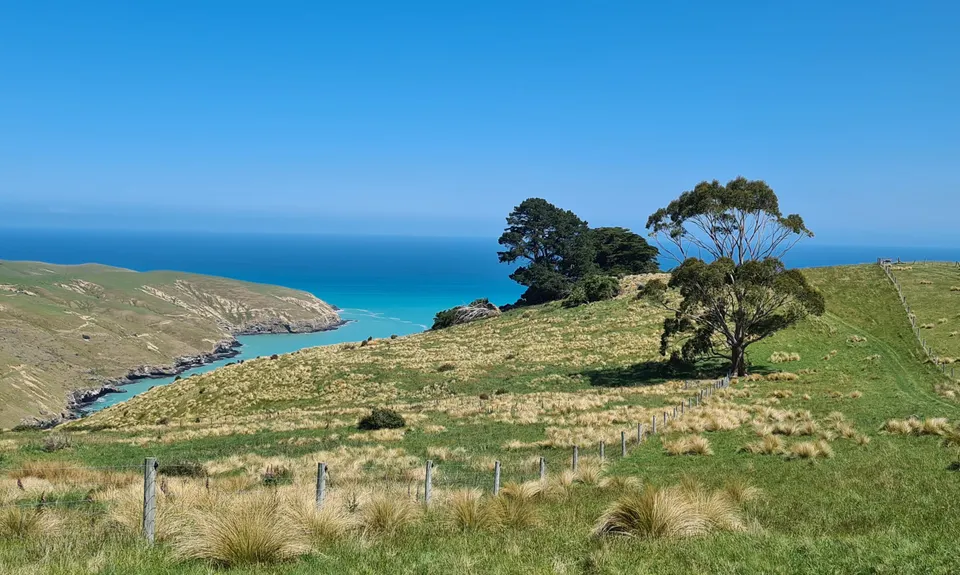 Tumble Down Te Oka, Canterbury
