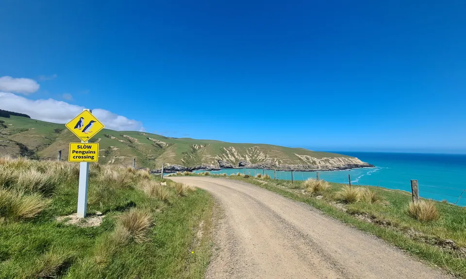 Tumble Down Te Oka, Canterbury
