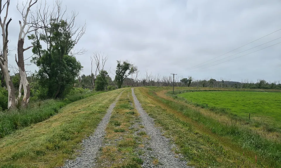 Kaiapoi Island Trail, Canterbury