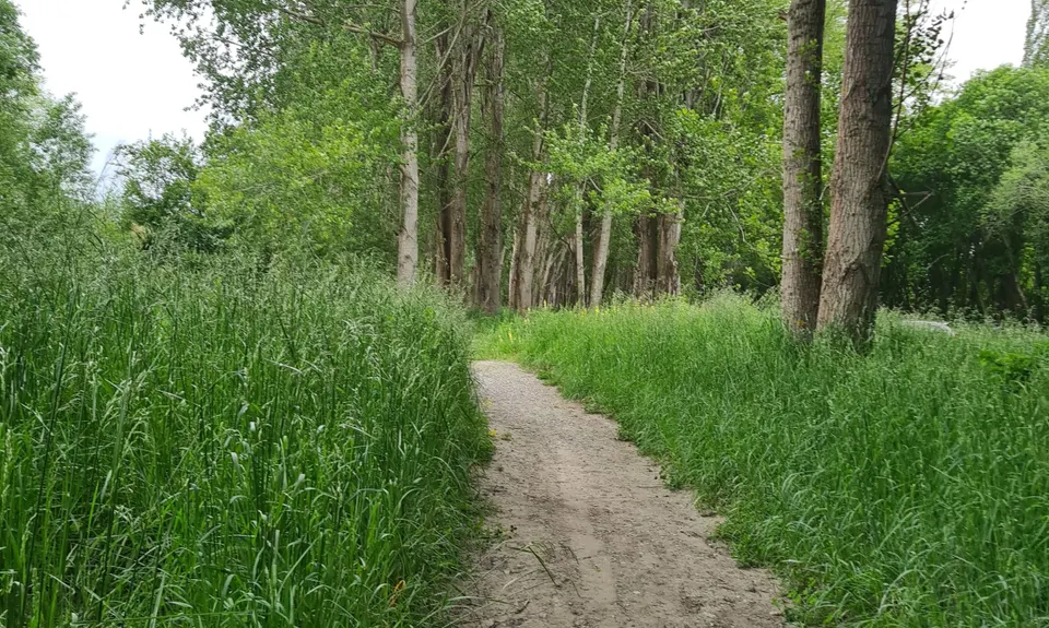 Kaiapoi Island Trail, Canterbury