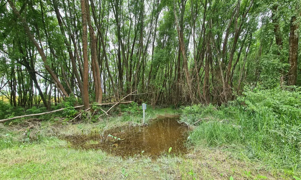 Kaiapoi Island Trail, Canterbury