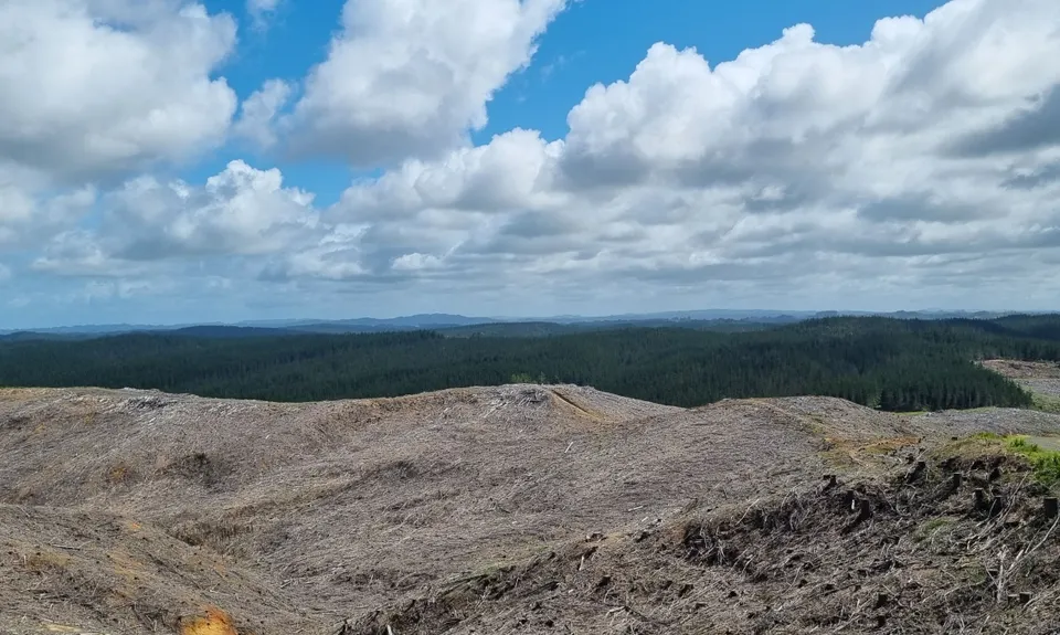 Strip Trig to Barlow, Auckland