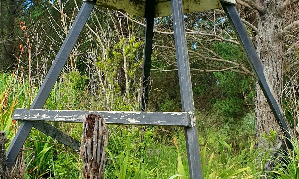 Strip Trig to Barlow, Auckland