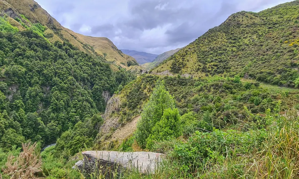 All The New Chums, Otago