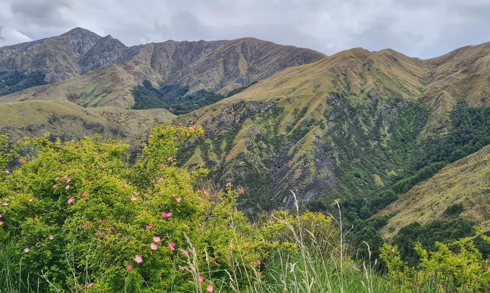 All The New Chums, Otago