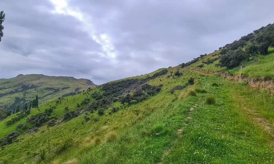 Moonlighting to Sefferstown, Otago