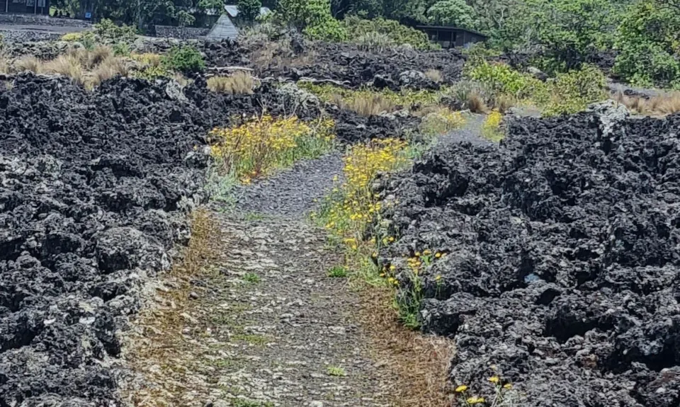 Rangitoto Circumnavigation, Auckland