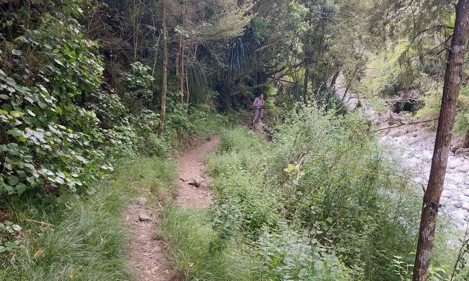 Rawhiti Ramble , Tasman