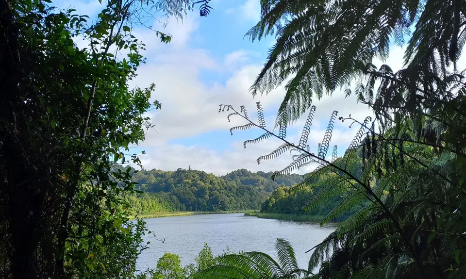 Rotokare Loop-da-Loop, Taranaki