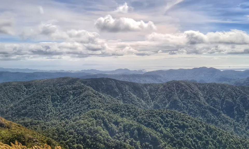 Te Aroha