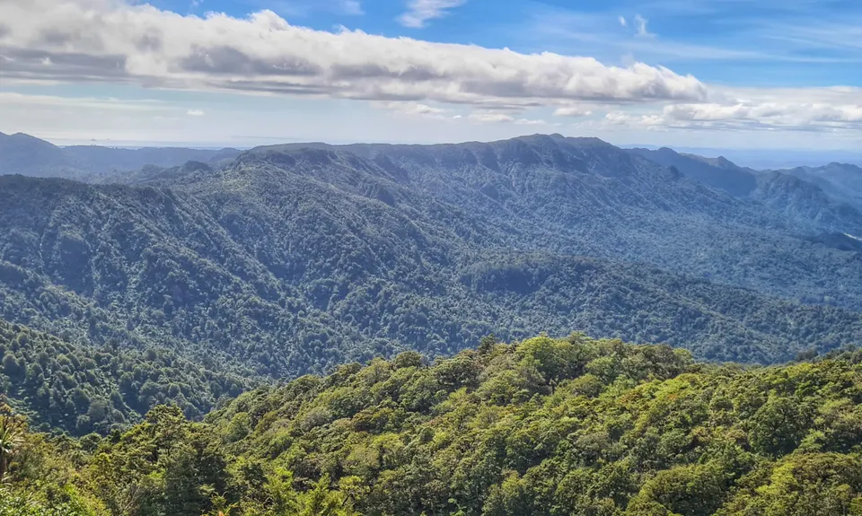 Te Aroha