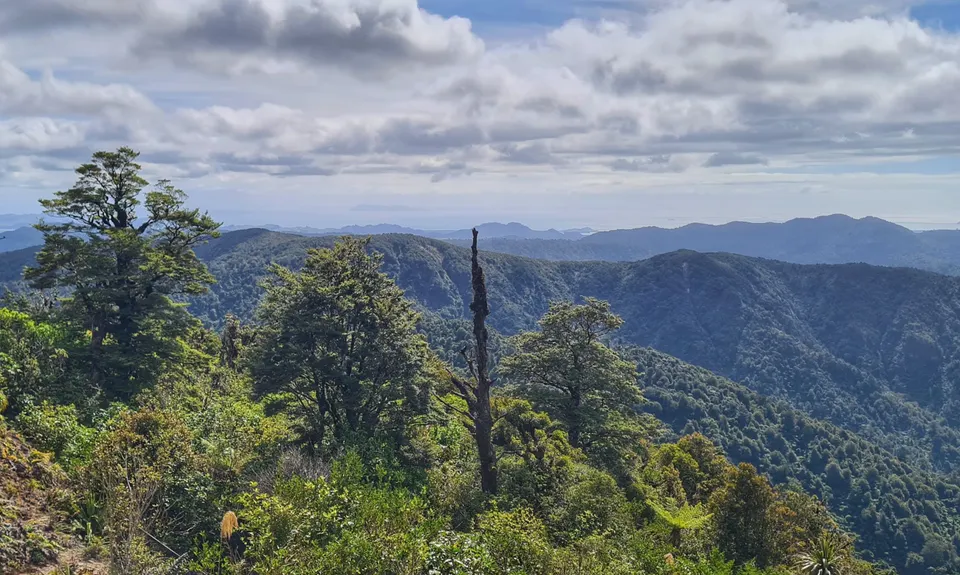 Te Aroha