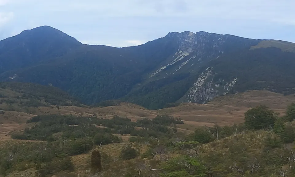 Poor Petes, Tasman