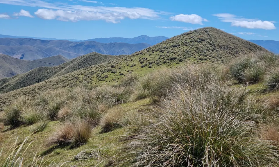 Mount Cecil