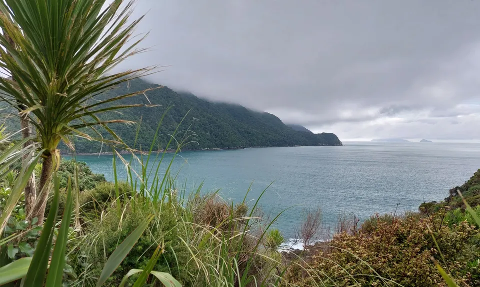 Bream Head Te Whara Trail, Northland