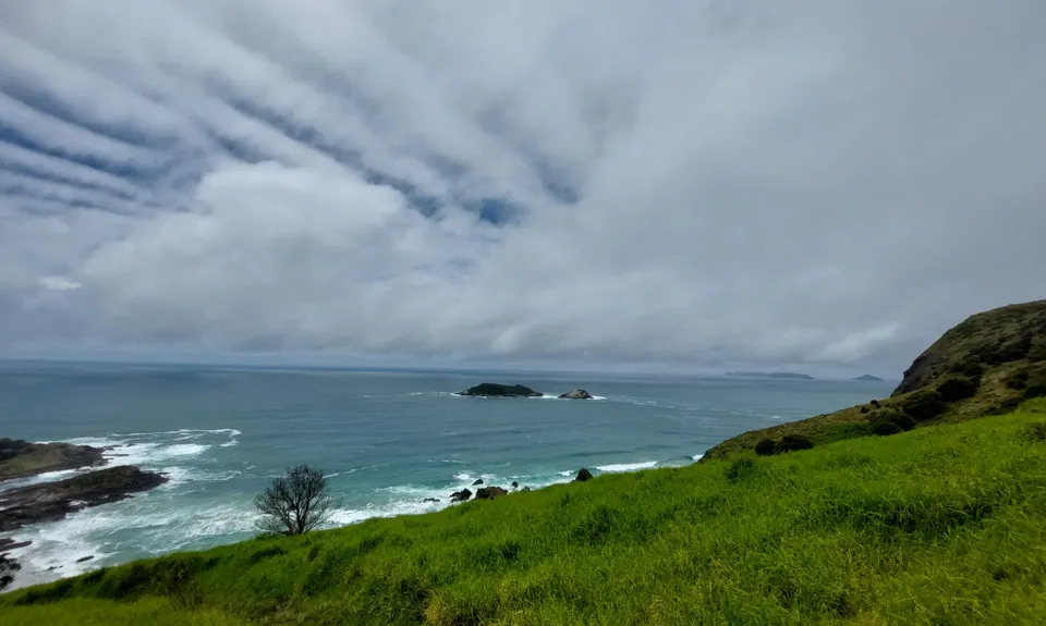 Bream Head Te Whara Trail, Northland