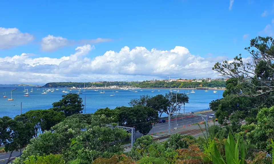 Hobson Bay Loopity, Auckland