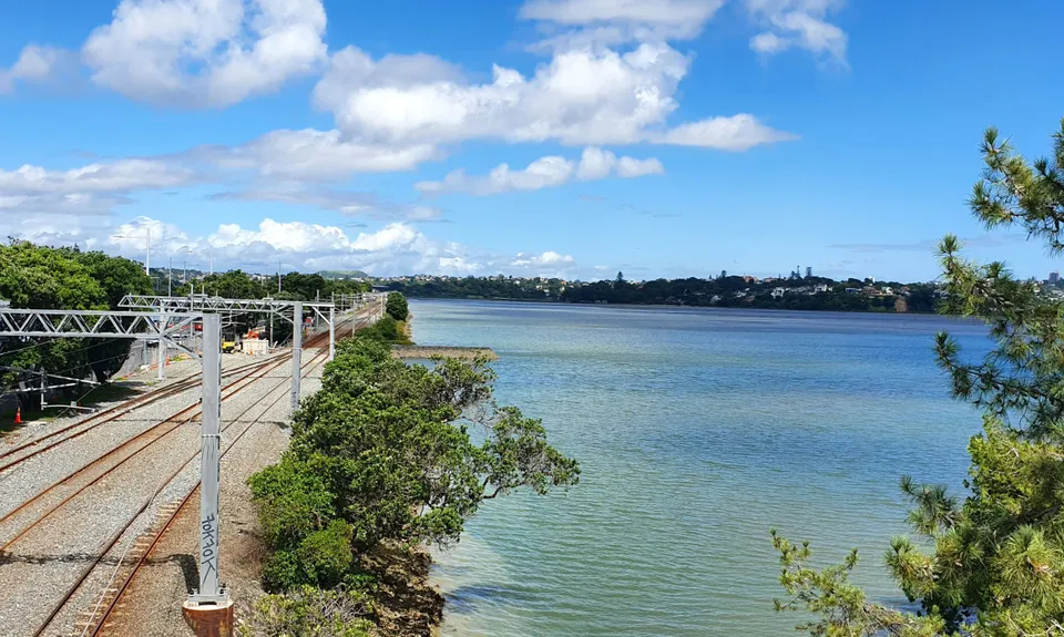 Hobson Bay Loopity, Auckland