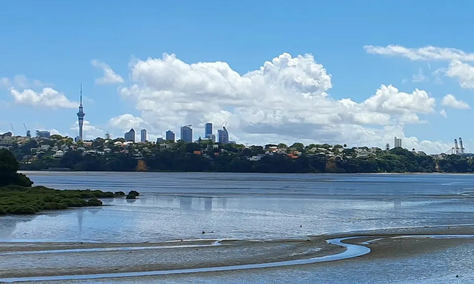 Hobson Bay Loopity, Auckland