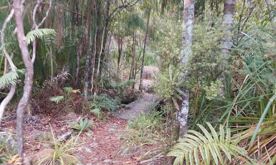 Lake Rochfort Ramble, West Coast