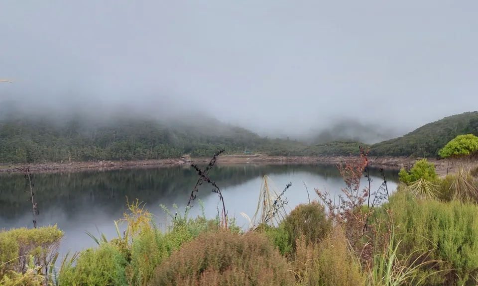 Lake Rochfort Ramble, West Coast
