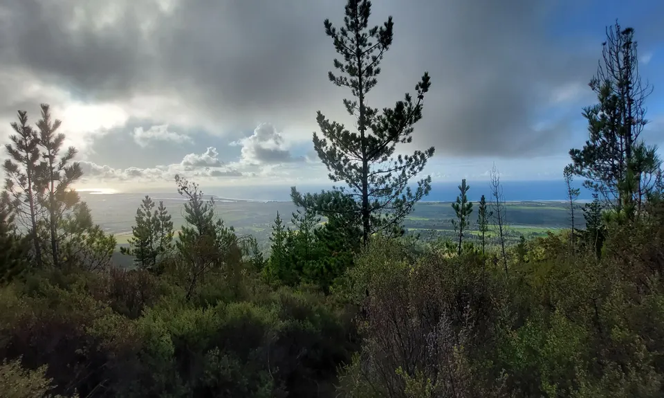 Lake Rochfort Ramble, West Coast