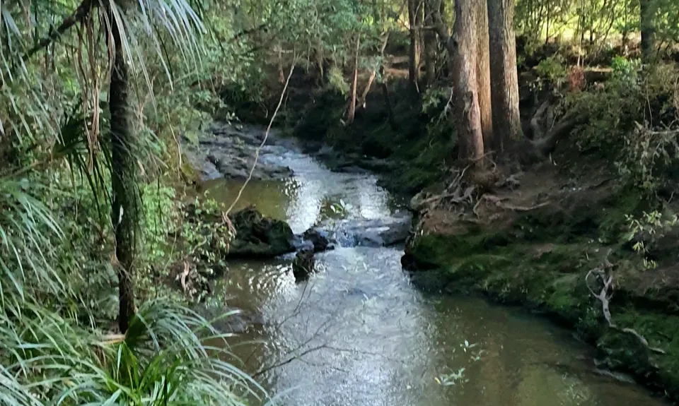 Fernhill & Burnside Escarpments, Auckland