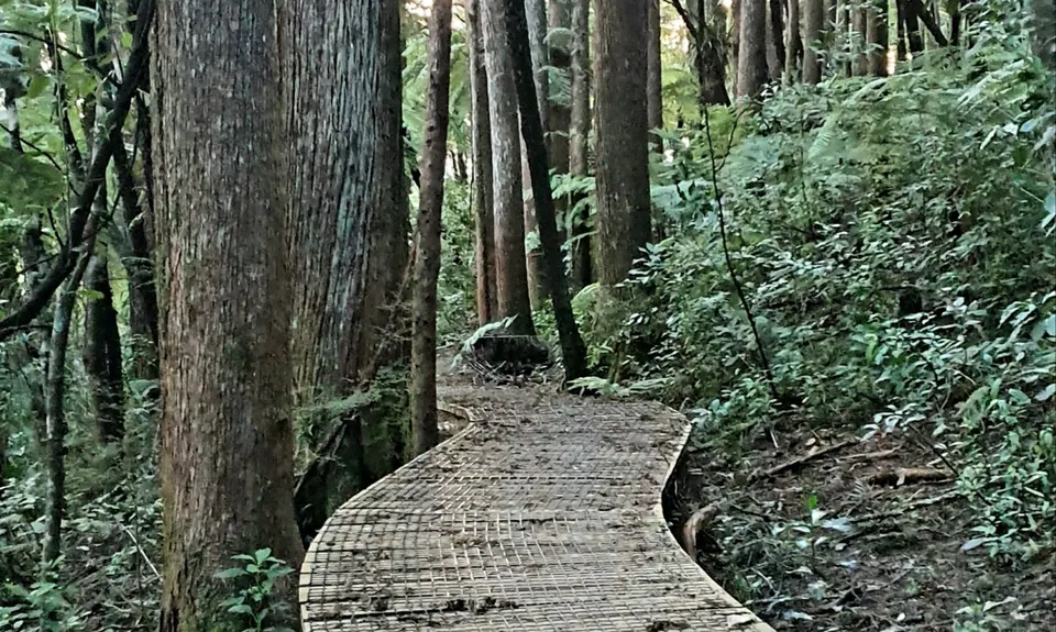 Fernhill & Burnside Escarpments, Auckland