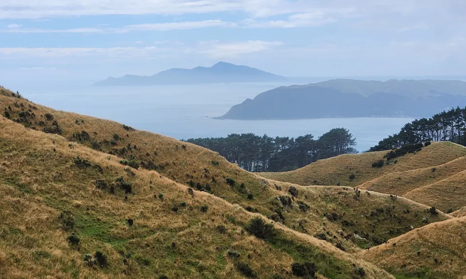 Extended Skyline, Wellington