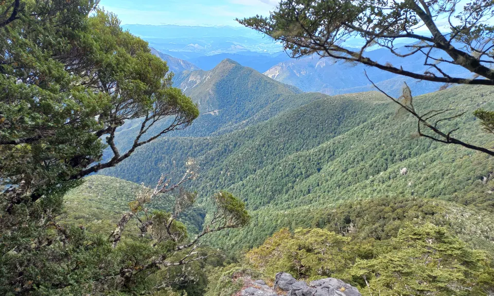 Lodestone Loop, Tasman