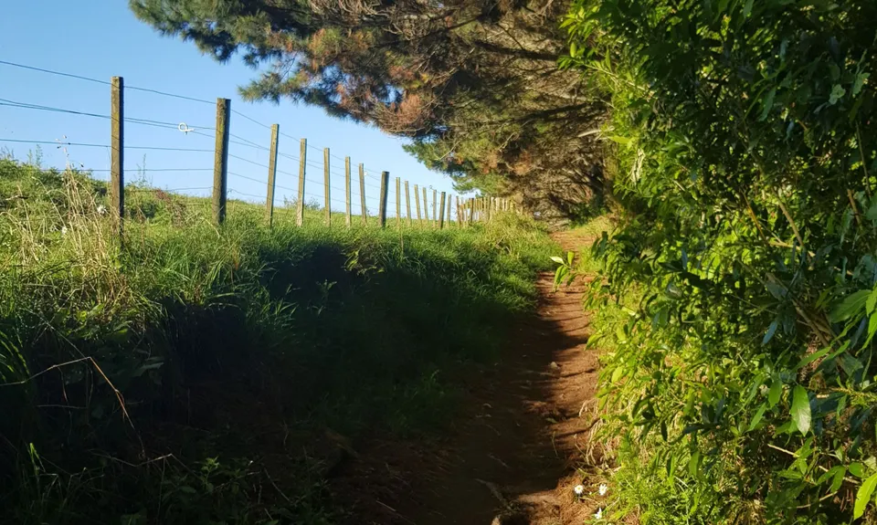 The Best of Te Miro, Waikato