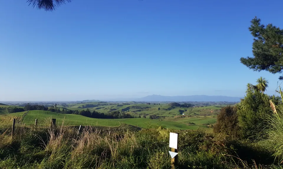 The Best of Te Miro, Waikato