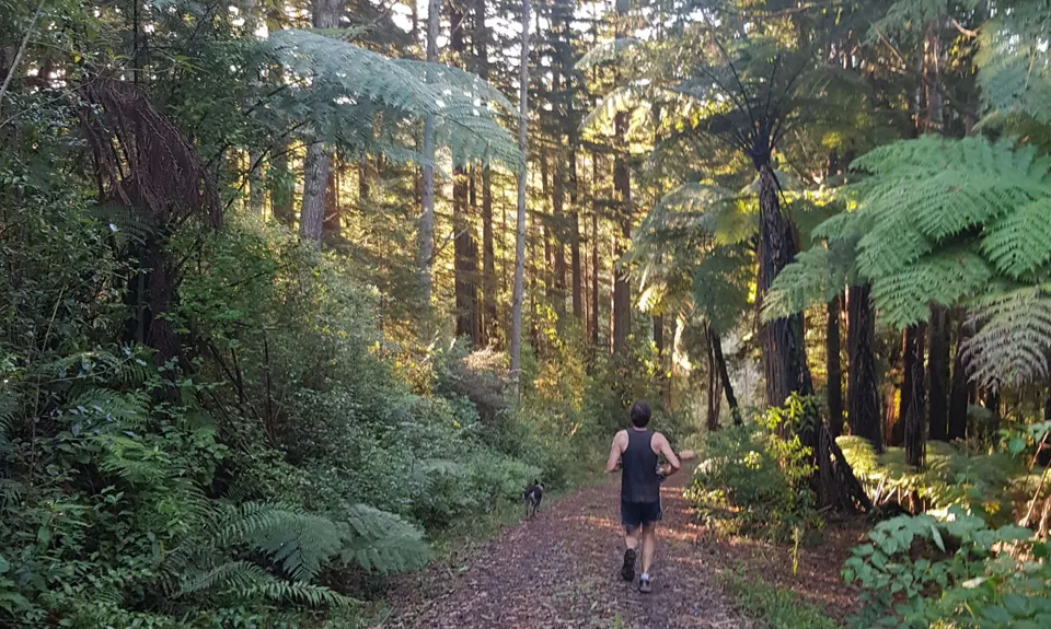 The Best of Te Miro, Waikato