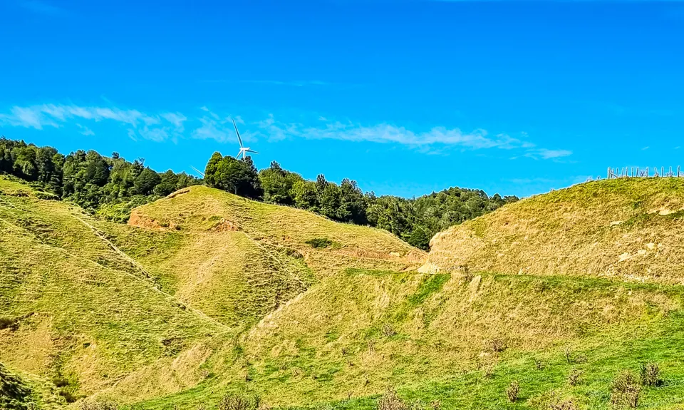 Pipiwharauroa Trail, Waikato